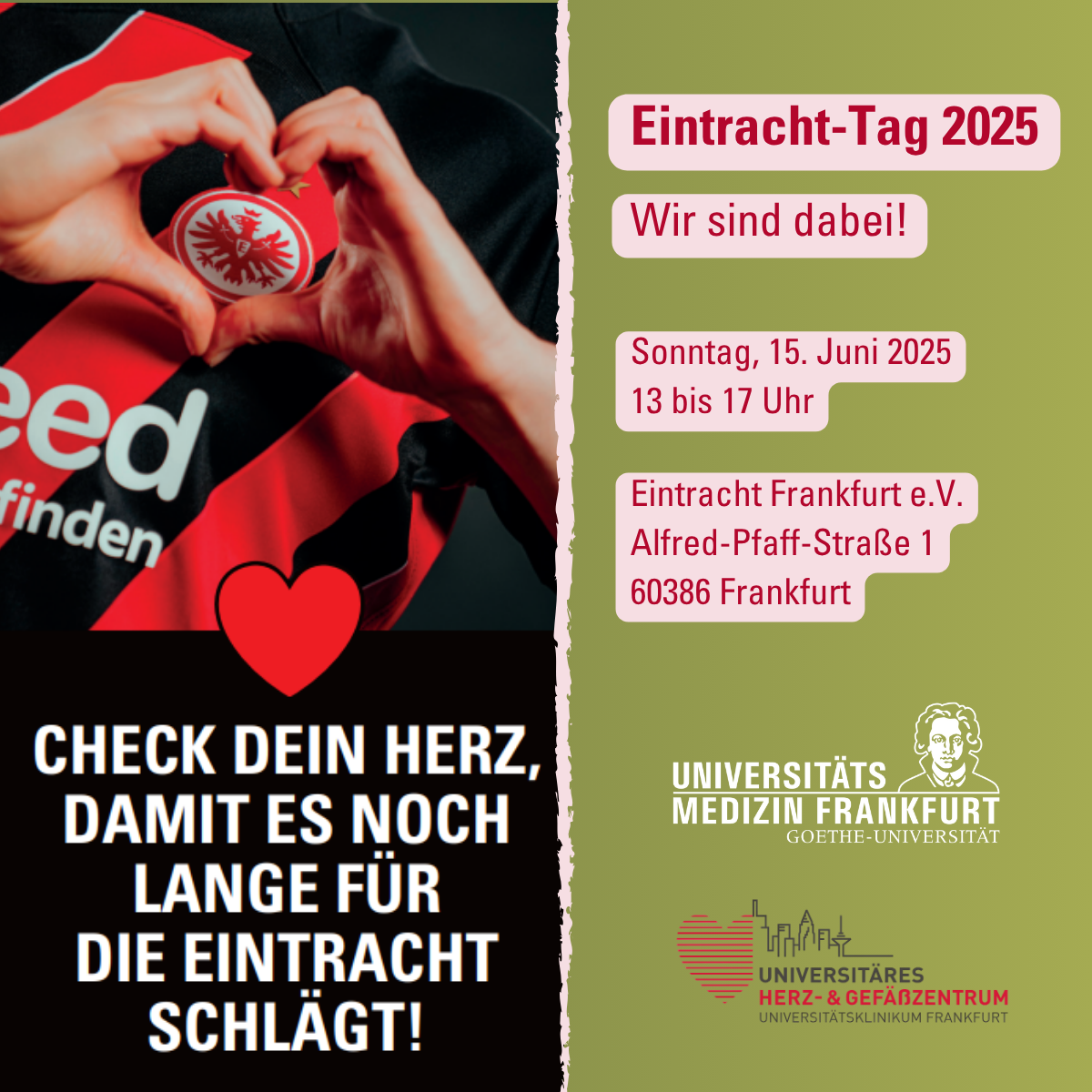 Eintracht Tag 2025